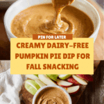 Dairy-Free Pumpkin Pie Dip Recipe