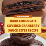 Dark Chocolate Covered Cranberry Sauce Bites Recipe